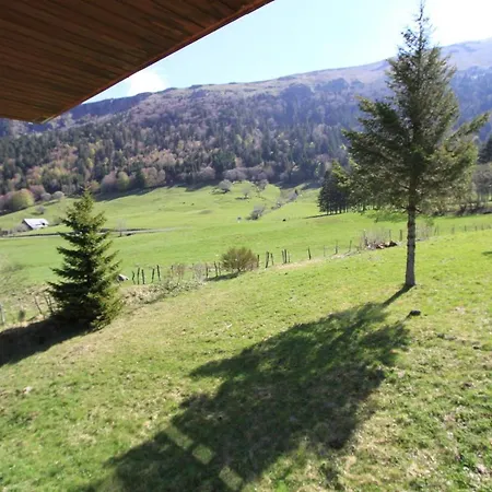 Village Des Longes * Ле-Мон-Дор