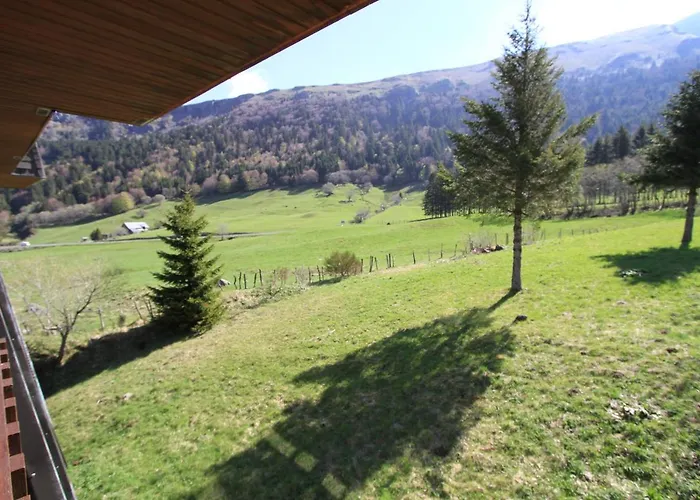 Village Des Longes * Ле-Мон-Дор