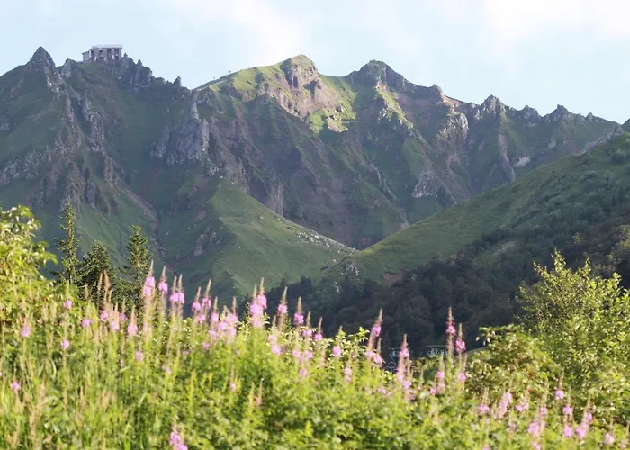Village Des Longes * Ле-Мон-Дор