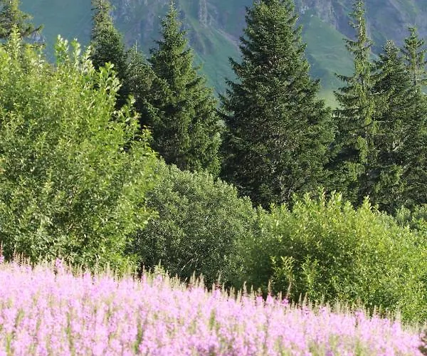 Village Des Longes Apartment *